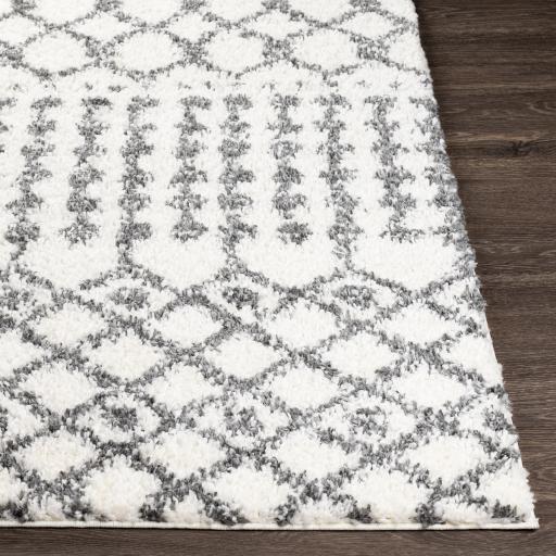 Surya Deluxe Shag DXS-2314 Charcoal Cream 5'3" x 7'3" Rug