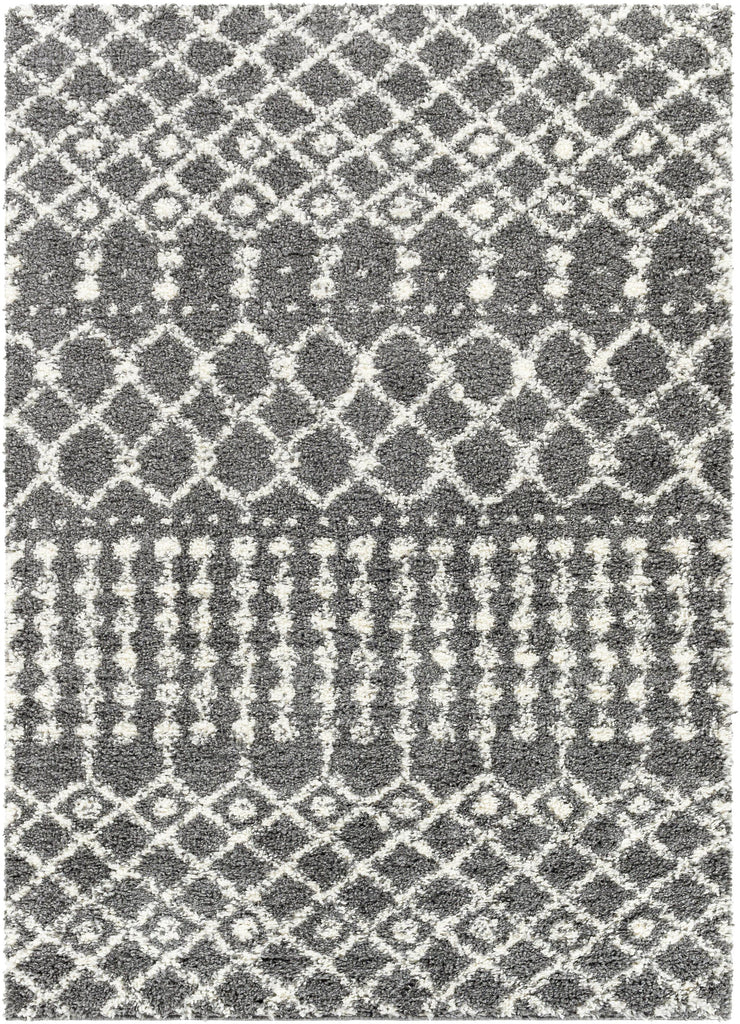 Surya Deluxe Shag DXS-2315 Charcoal Cream 5'3" x 7'3" Rug