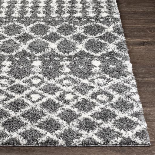 Surya Deluxe Shag DXS-2315 Charcoal Cream 5'3" x 7'3" Rug