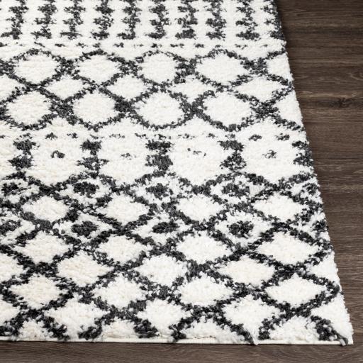 Surya Deluxe Shag DXS-2316 Black Cream 5'3" x 7'3" Rug