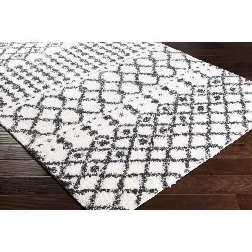 Surya Deluxe Shag DXS-2316 Black Cream 5'3" x 7'3" Rug