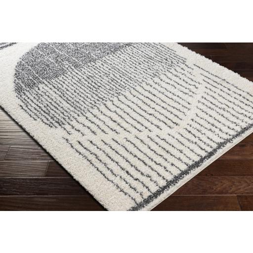 Surya Deluxe Shag DXS-2317 Charcoal Cream 2' x 3' Rug