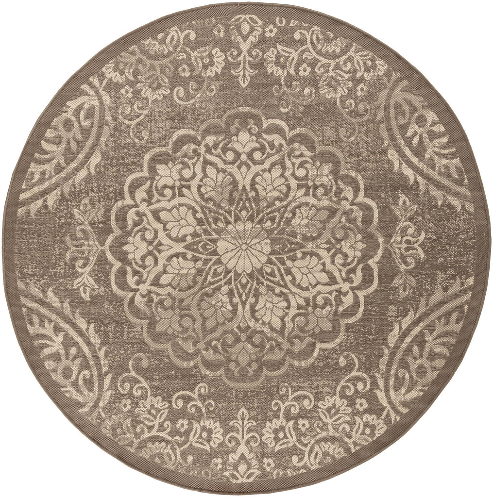 Surya Eagean EAG-2362 Beige Dark Brown 6'7" Square Rug