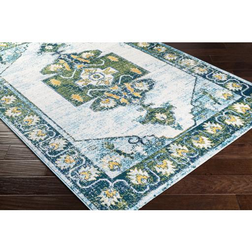 Surya Floransa FSA-2355 Aqua Cream 9' x 12'3" Rug