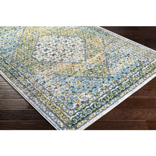 Surya Floransa FSA-2358 Aqua Cream 7'10" x 10' Rug