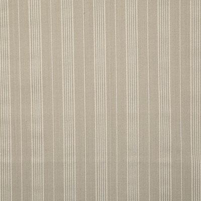 DecoratorsBest CONRAD CANVAS Fabric