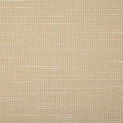 DecoratorsBest ROVER STRAW Fabric