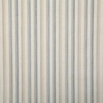 DecoratorsBest PAUL BLUESTONE Fabric