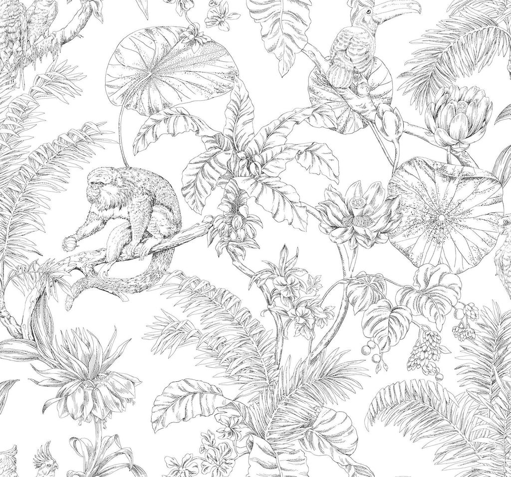 York Wallcoverings Tropical Sketch Toile Black White Wallpaper