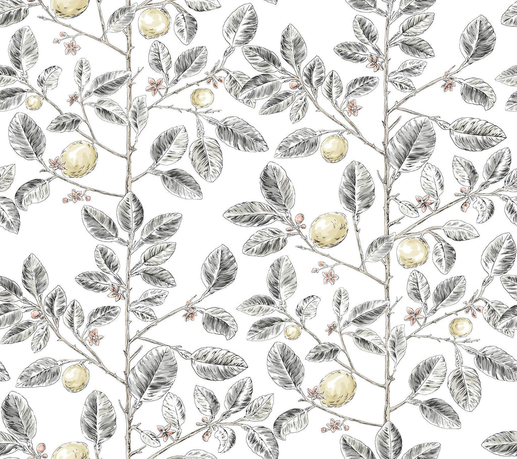 York Wallcoverings Limoncello Toile Black Grey Wallpaper