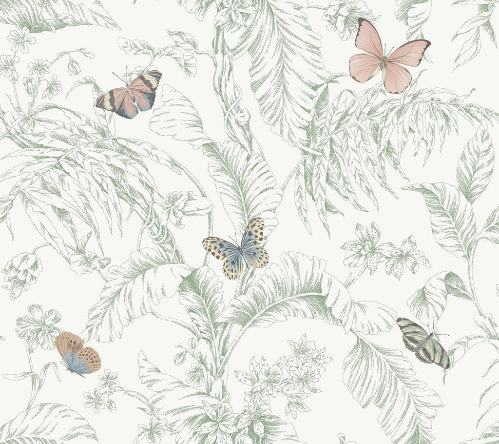 York Wallcoverings Papillon Blush White Wallpaper