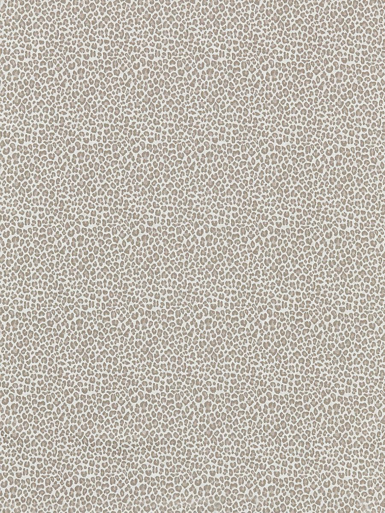 Scalamandre Backyard Bengal Limestone Fabric