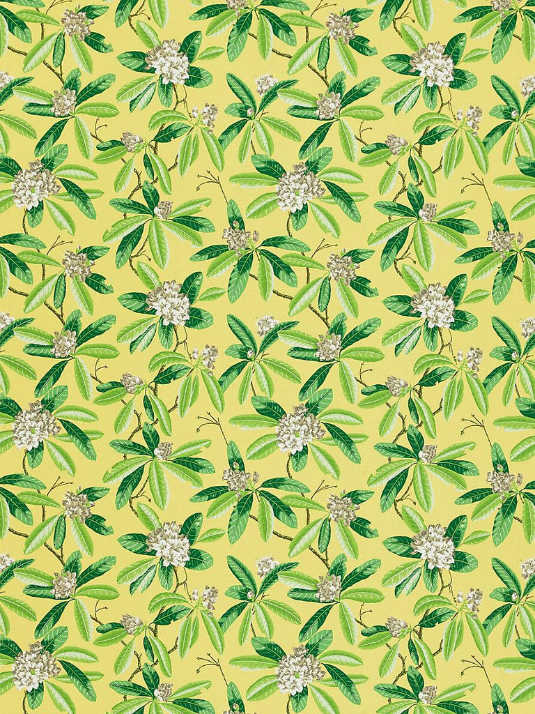 Scalamandre Rhododendron - Outdoor Pineapple Fabric