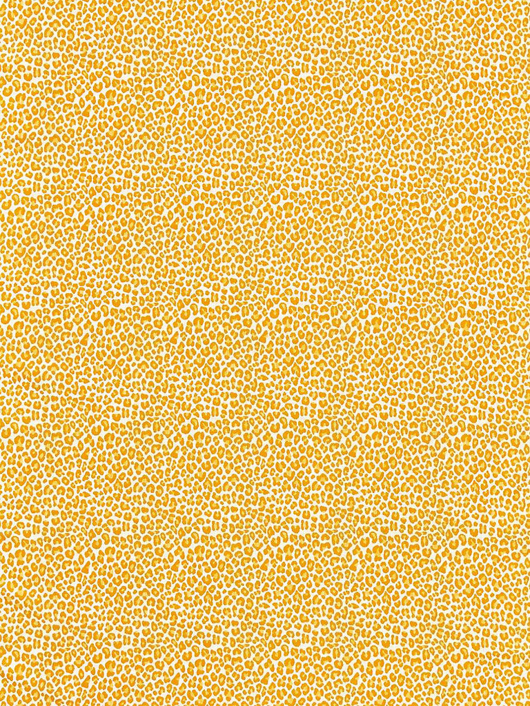 Scalamandre Backyard Bengal Tangerine Fabric