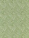 Scalamandre Backyard Bengal Ivy Fabric