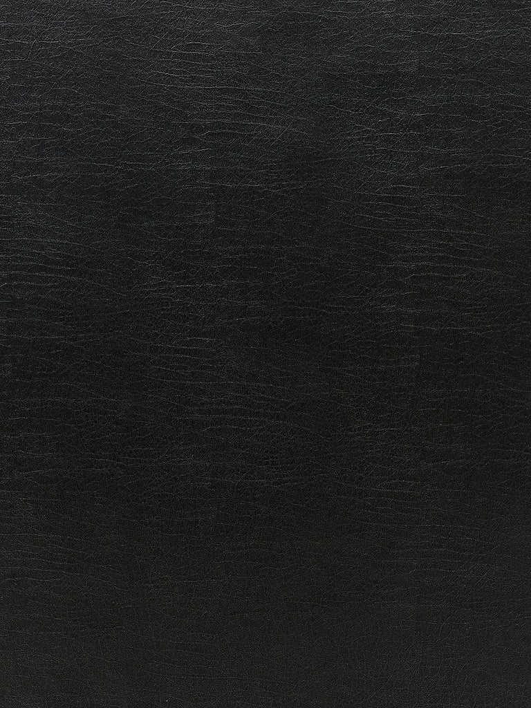 Scalamandre Cary Onyx Fabric