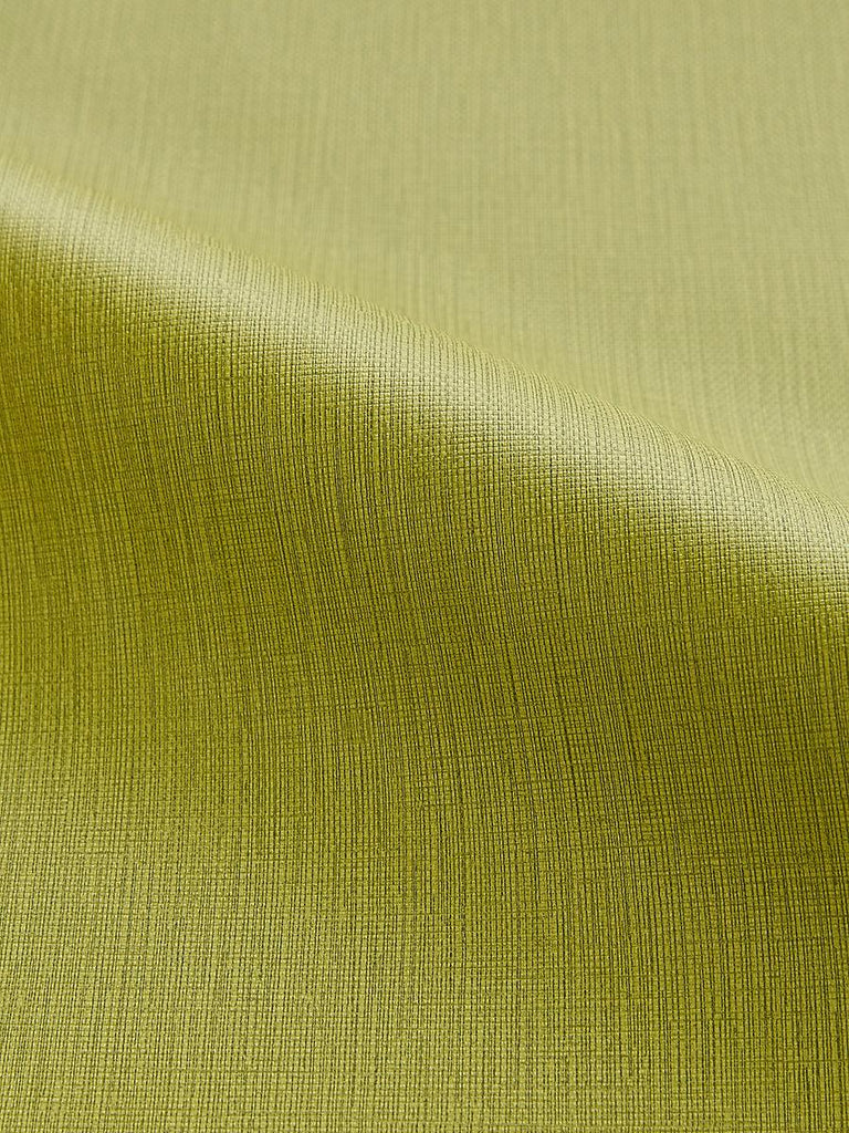 Scalamandre Lauren Leek Fabric