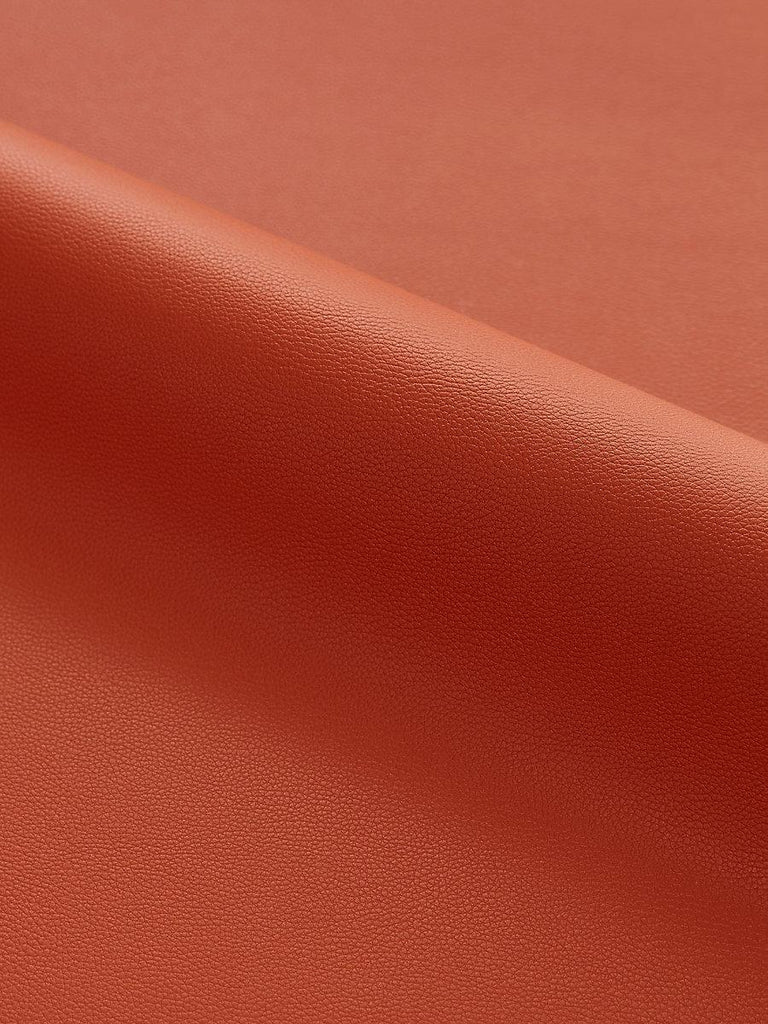 Scalamandre Clark - Outdoor Cinnamon Fabric