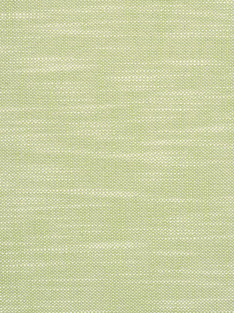 Scalamandre Neoma Celery Fabric