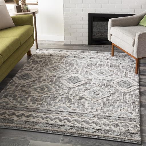 Surya La Maison LMS-2310 Beige Charcoal 5'3" x 7'3" Rug