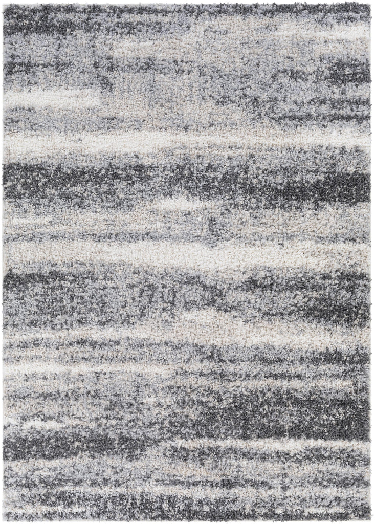 Surya Lyra Shag LYR-2302 Charcoal Cream 2' x 3' Rug