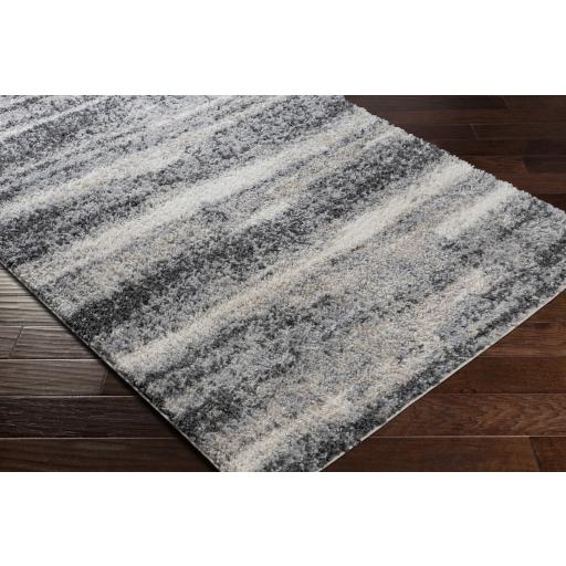 Surya Lyra Shag LYR-2302 Charcoal Cream 2' x 3' Rug