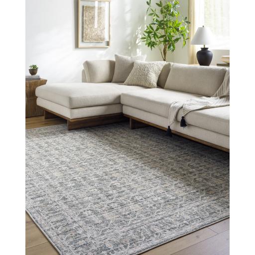 Surya Marlon MLO-2301 Blue Dusty Coral 2'1" x 3'9" Rug