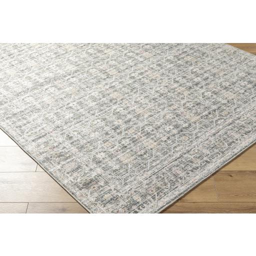 Surya Marlon MLO-2301 Blue Dusty Coral 2'1" x 3'9" Rug