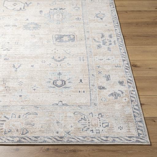 Surya Marlon MLO-2306 Charcoal Light Beige 2'1" x 3'9" Rug