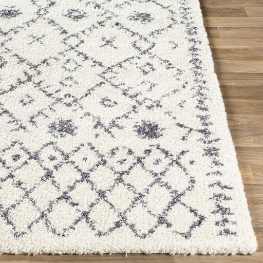 Surya Maroc Shag MRS-2305 Gray White 2' x 3' Rug