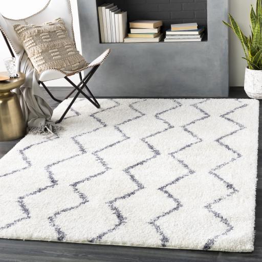 Surya Maroc Shag MRS-2307 Gray White 2' x 3' Rug