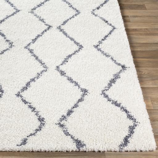 Surya Maroc Shag MRS-2307 Gray White 2' x 3' Rug