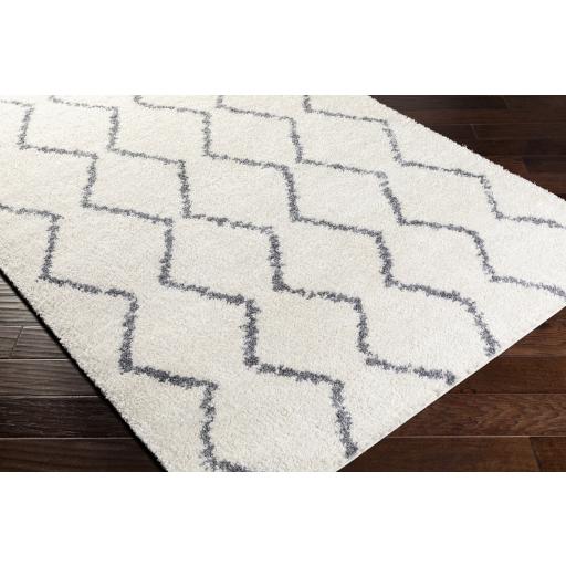 Surya Maroc Shag MRS-2307 Gray White 2' x 3' Rug