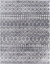 Surya Maroc Shag Mrs-2308 2' X 3' Rug