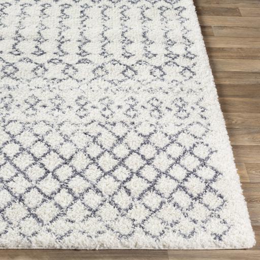 Surya Maroc Shag MRS-2311 Gray White 2' x 3' Rug