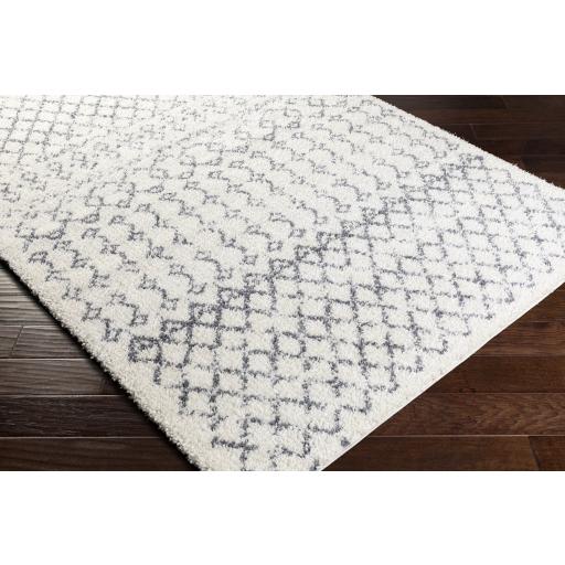 Surya Maroc Shag MRS-2311 Gray White 2' x 3' Rug