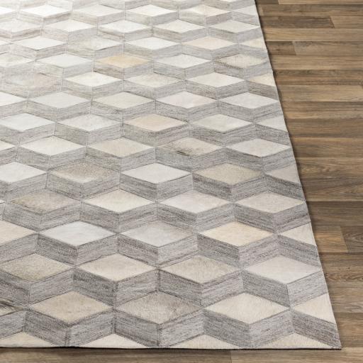 Surya Medora MOD-1020 Light Gray Medium Gray 2' x 3' Rug