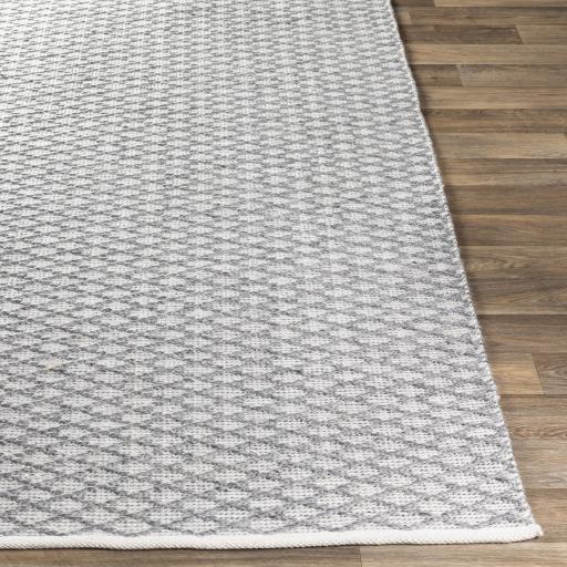 Surya Modena MOE-1003 Gray White 2' x 3' Rug