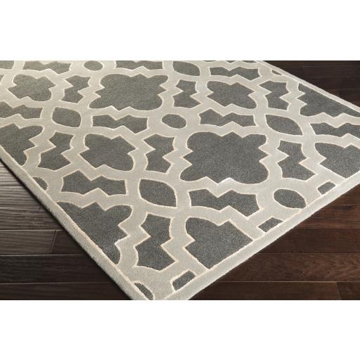 Surya Modern Classics CAN-2040 Charcoal Ivory 2' x 3' Rug