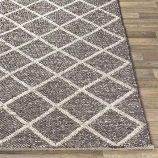 Surya Napels NPL-2302 Brown Cream 2' x 3' Rug