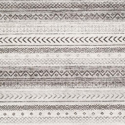 Surya Nepali NPI-2307 Black Cream 8'10" x 12'4" Rug