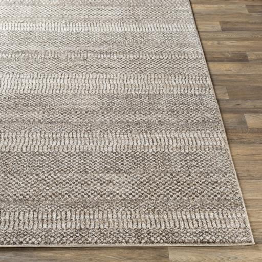 Surya Nepali NPI-2312 Cream Dark Brown 2' x 3' Rug