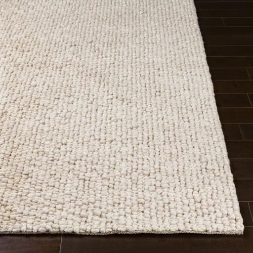 Surya Neravan NER-1000 Cream Light Brown 2' x 3' Rug