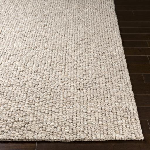 Surya Neravan NER-1002 Cream Light Brown 2' x 3' Rug