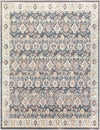 Surya New Mexico Nwm-2316 2' X 3' Rug