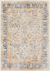 Surya New Mexico Nwm-2356 2' X 3' Rug