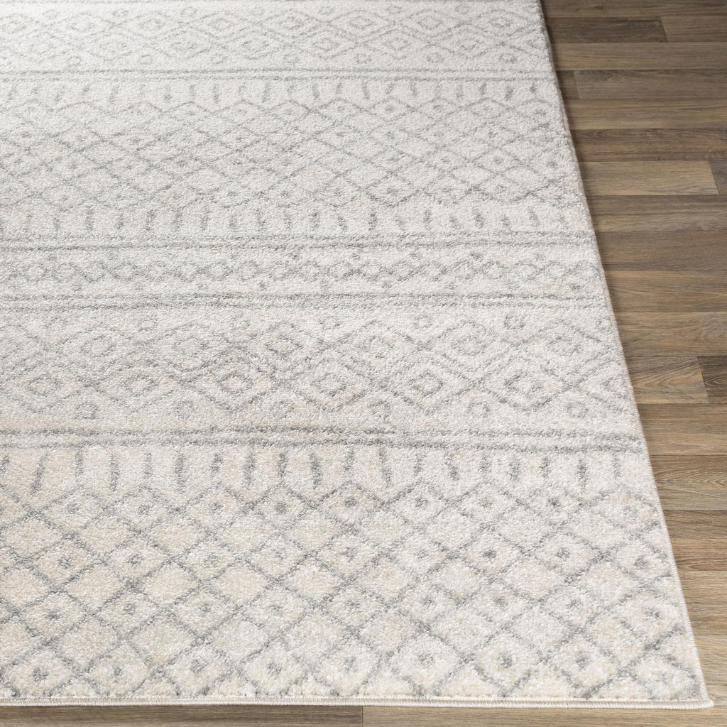 Surya Norwich NWC-2303 5'3" x 7'3" Machine Woven Rug