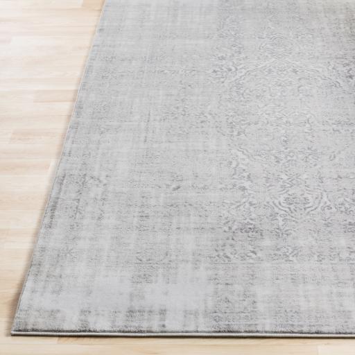 Surya Nova NVA-3025 Medium Gray Off-White 2'2" x 2'11" Rug