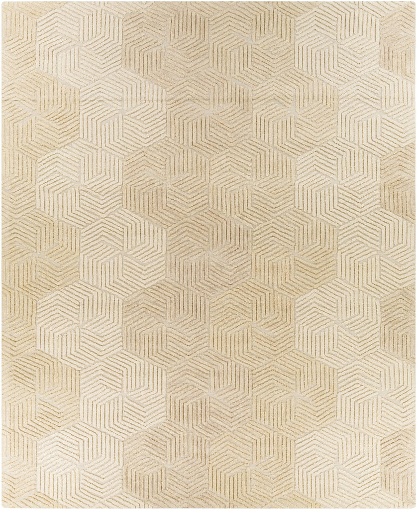 Surya Oakland OAA-1002 Beige Cream 2' x 3' Rug