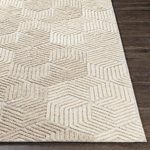 Surya Oakland OAA-1002 Beige Cream 2' x 3' Rug